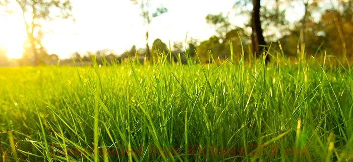 ddos在线攻击工具