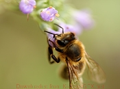 ddos在线攻击测试网站